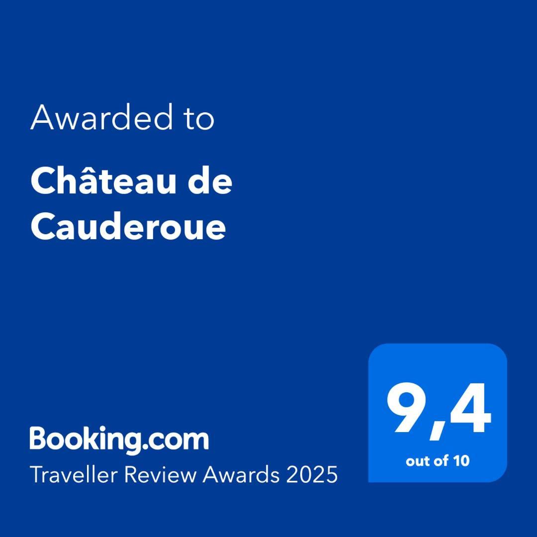 Chateau De Cauderoue Nérac Exterior foto